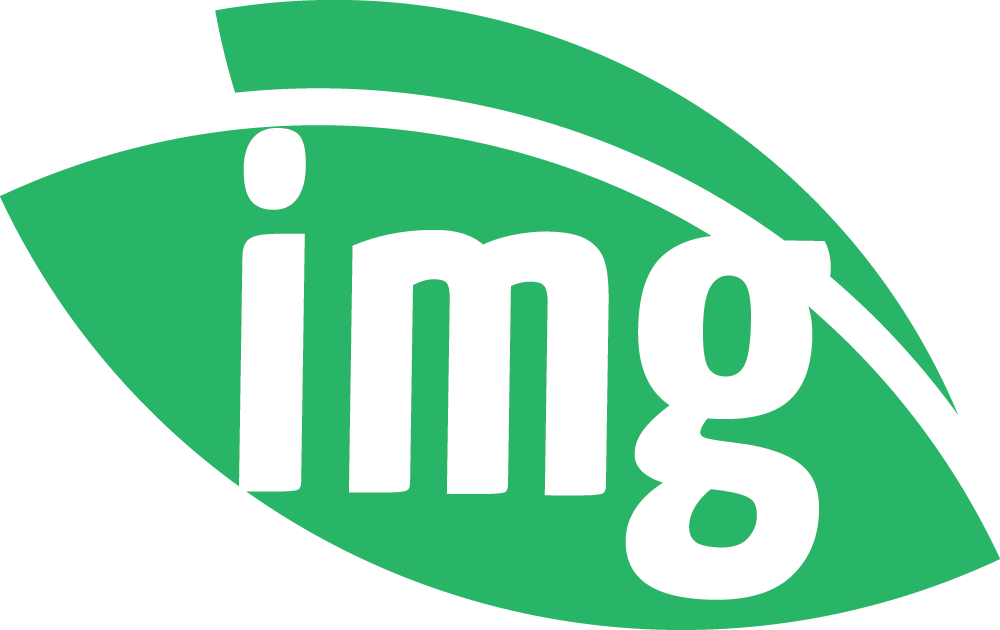 Img.vision icon
