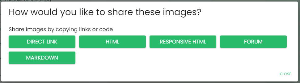 Example how Img.vision allows you to select the way of sharing images in bulk